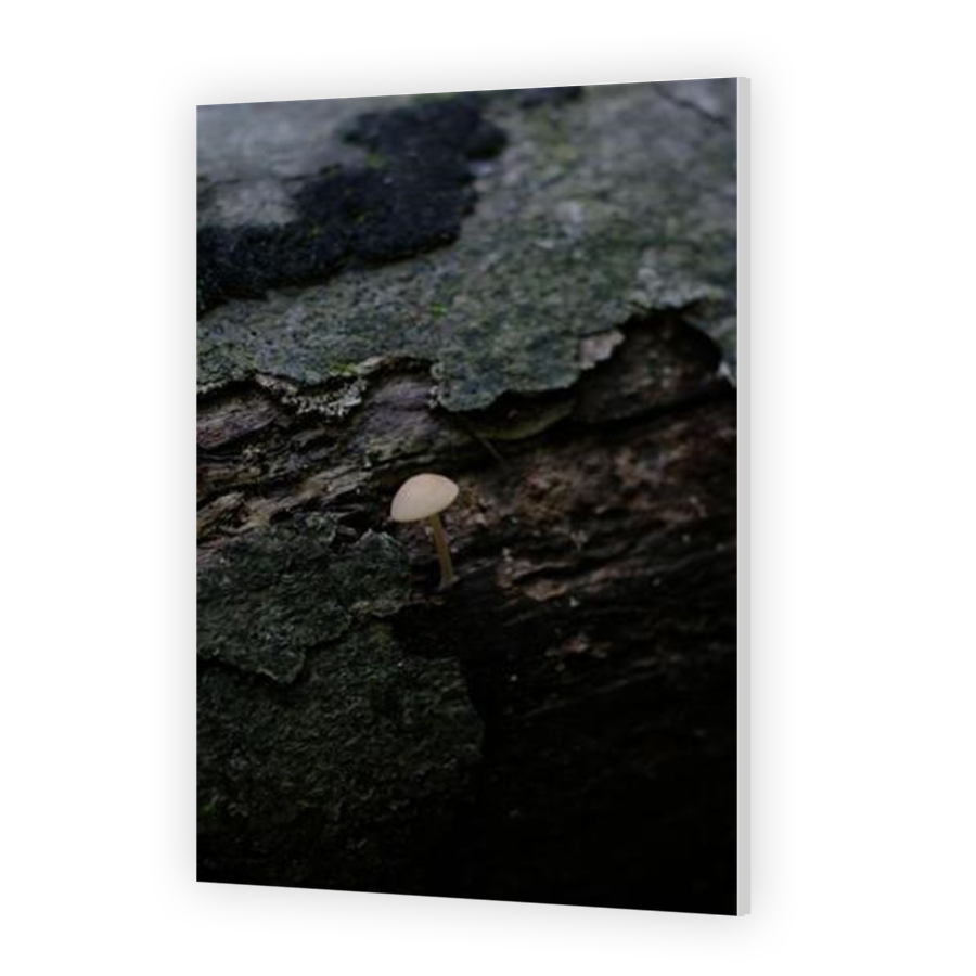 Thumbnail for HD Metal