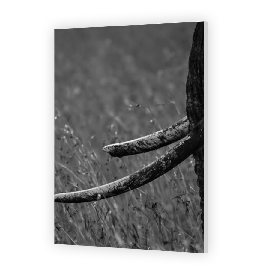 Thumbnail for HD Metal