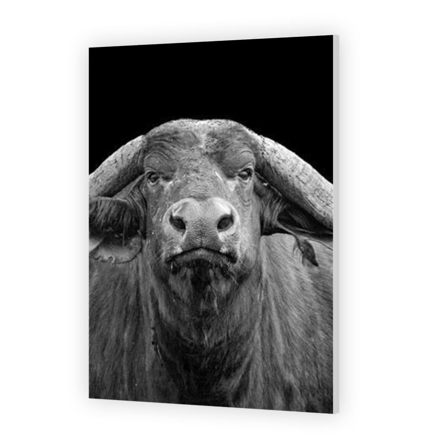 Thumbnail for HD Metal