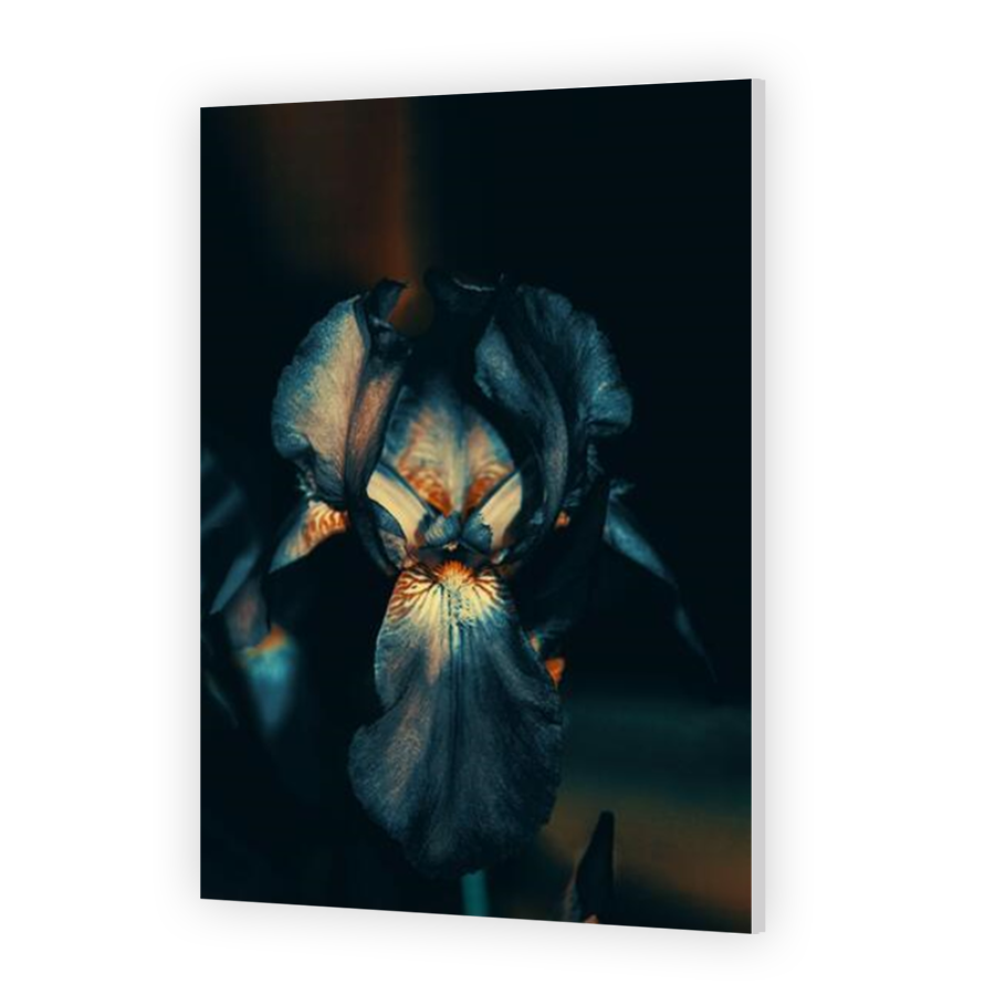 Thumbnail for HD Metal
