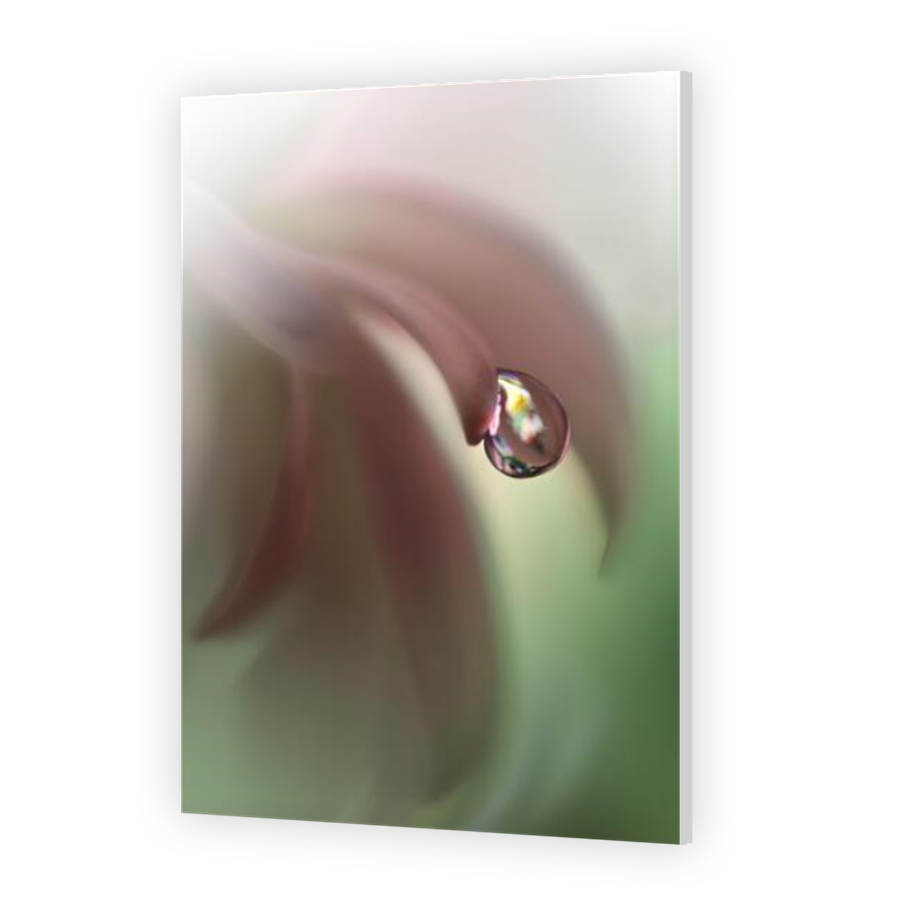 Thumbnail for HD Metal