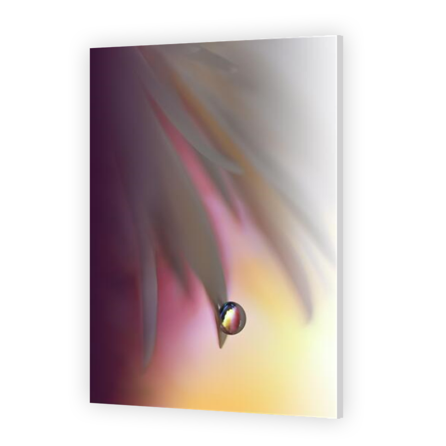 Thumbnail for HD Metal