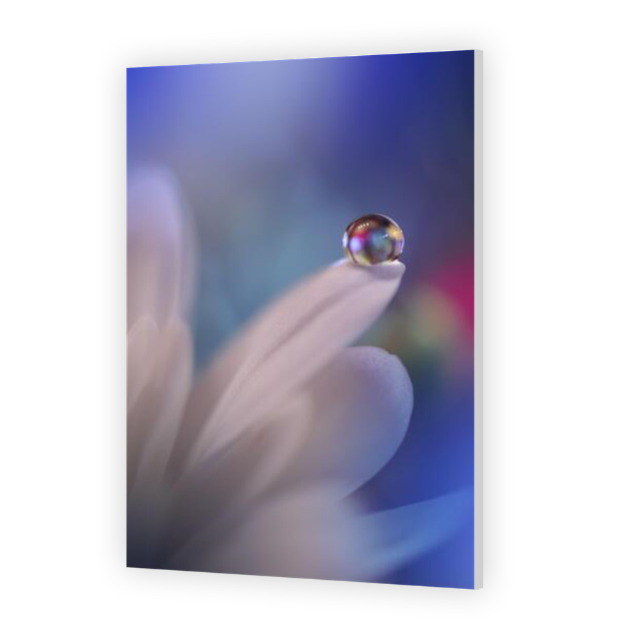 Thumbnail for HD Metal