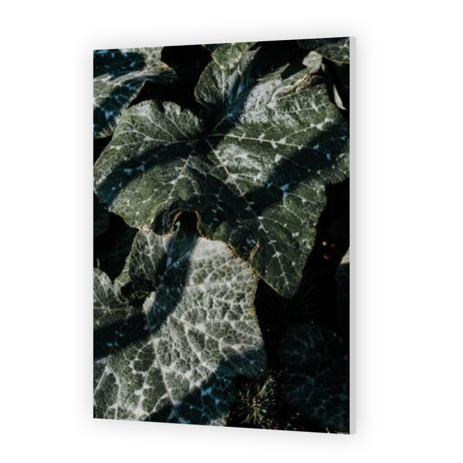 Thumbnail for HD Metal
