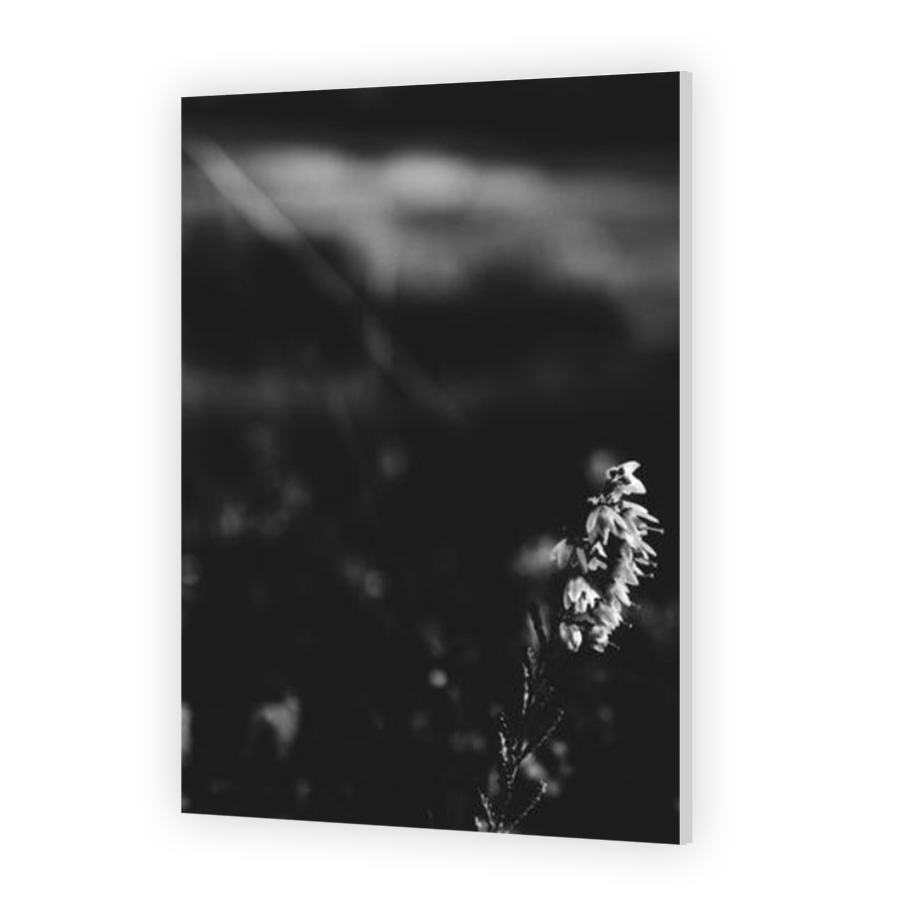 Thumbnail for HD Metal