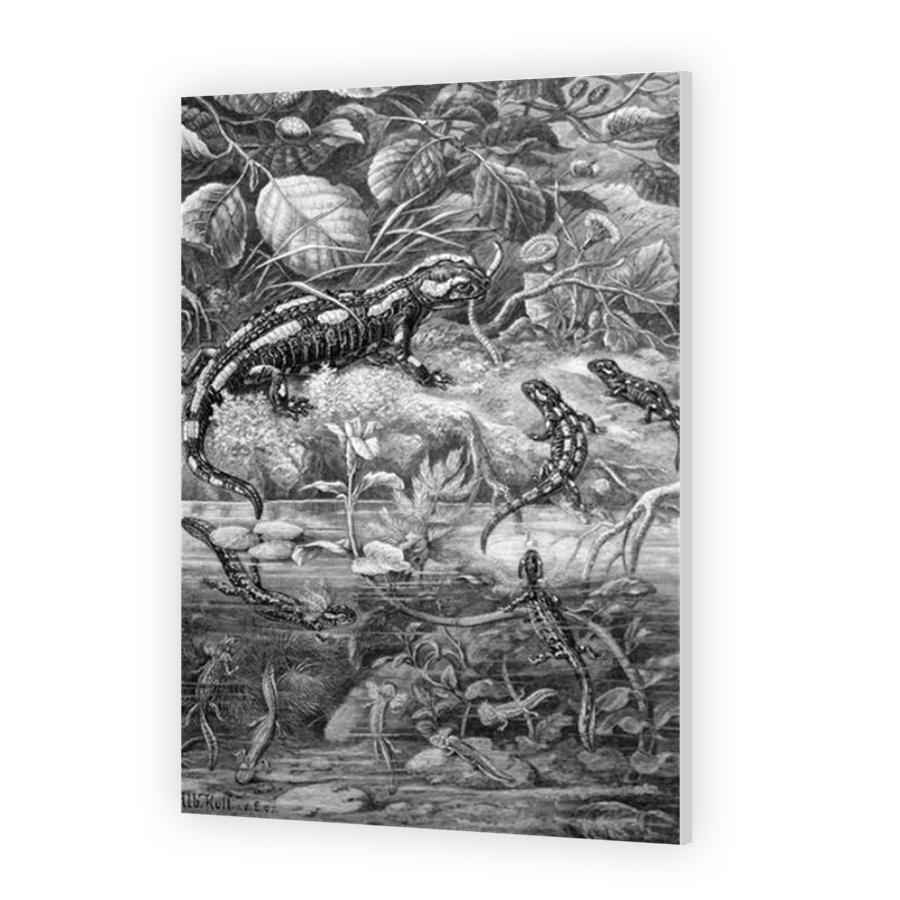 Thumbnail for HD Metal