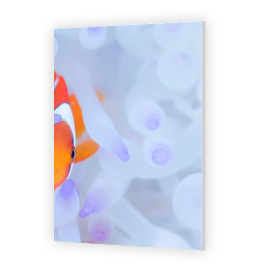 Thumbnail for HD Metal