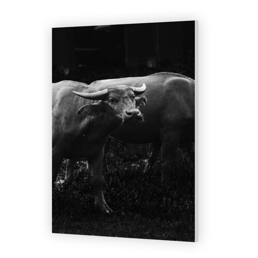 Thumbnail for HD Metal