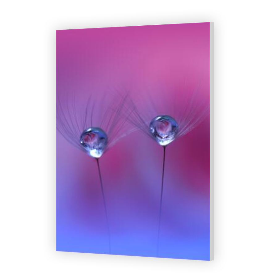 Thumbnail for HD Metal