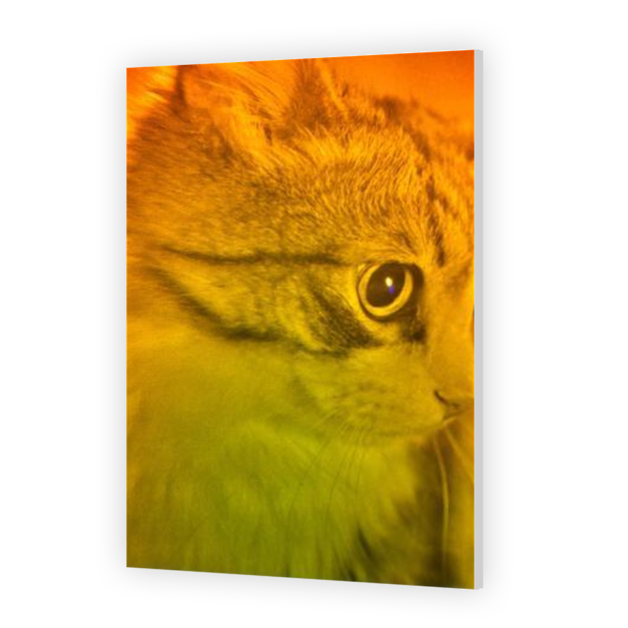 Thumbnail for HD Metal