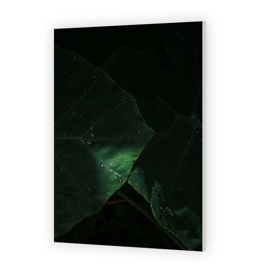 Thumbnail for HD Metal