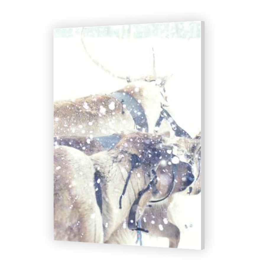 Thumbnail for HD Metal