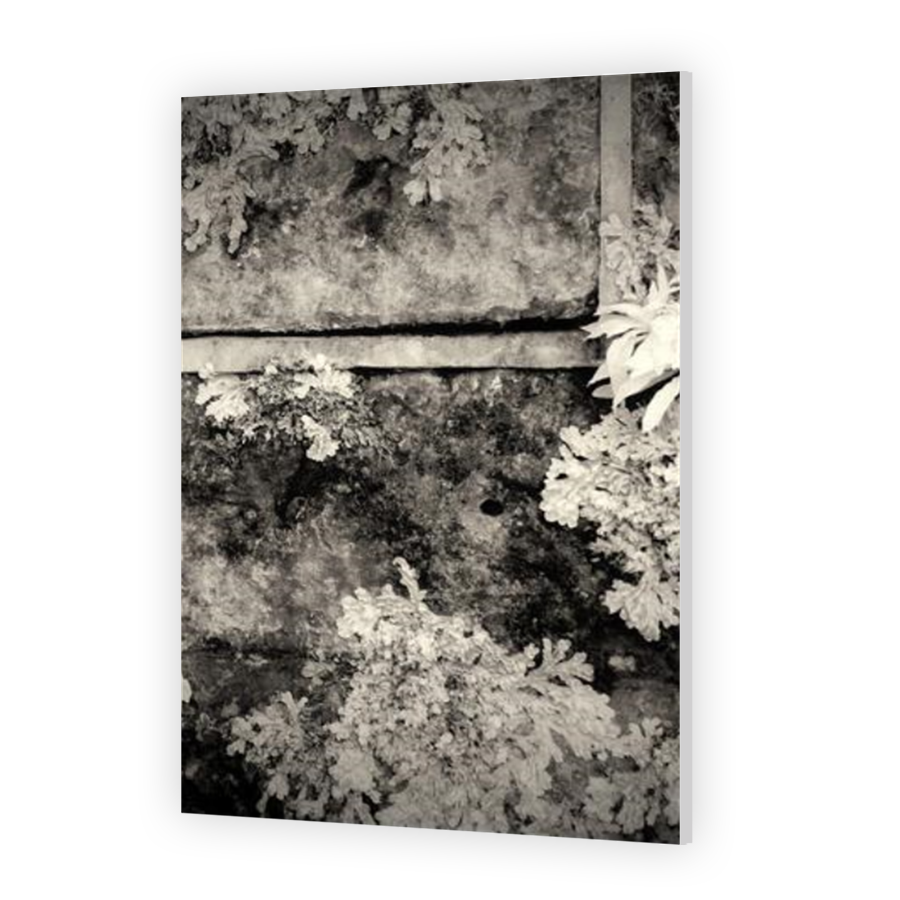 Thumbnail for HD Metal