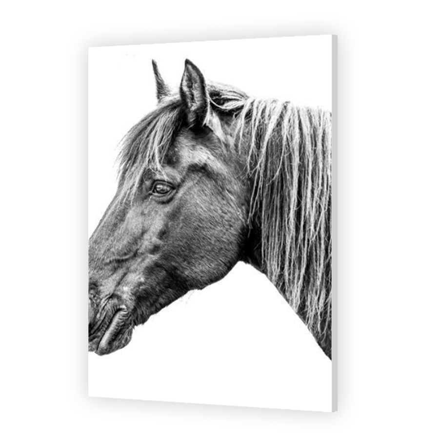 Thumbnail for HD Metal