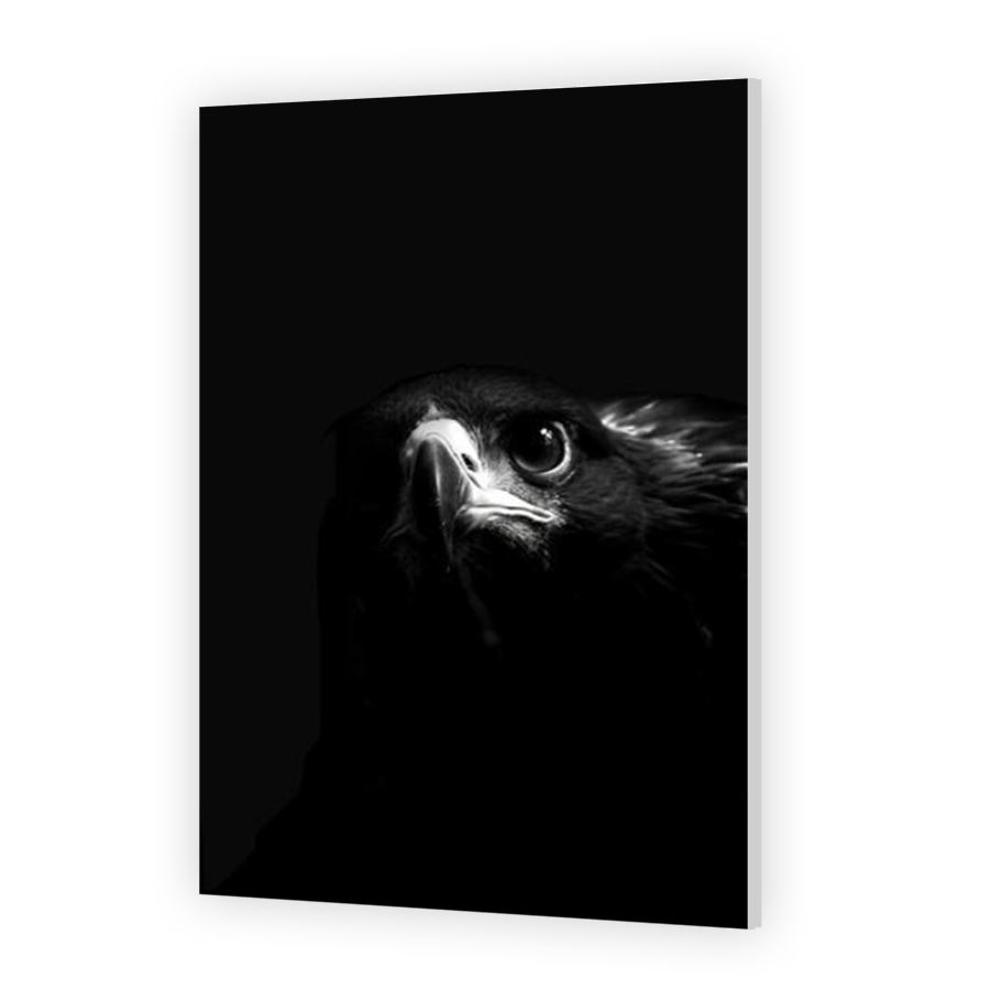 Thumbnail for HD Metal