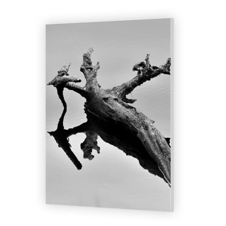 Thumbnail for HD Metal