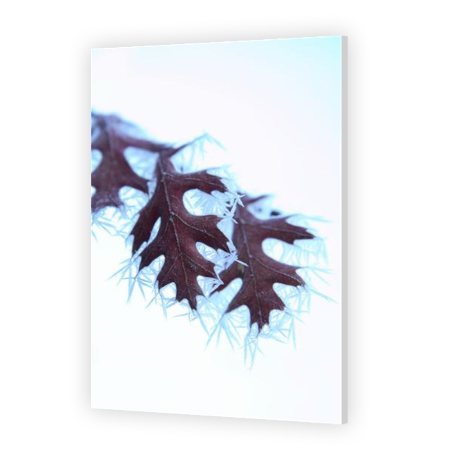 Thumbnail for HD Metal