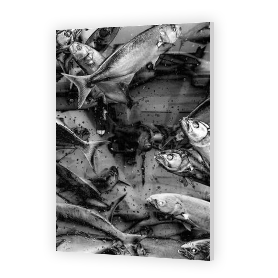 Thumbnail for HD Metal