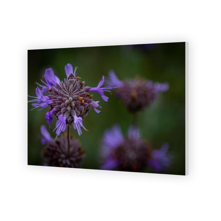 Thumbnail for HD Metal