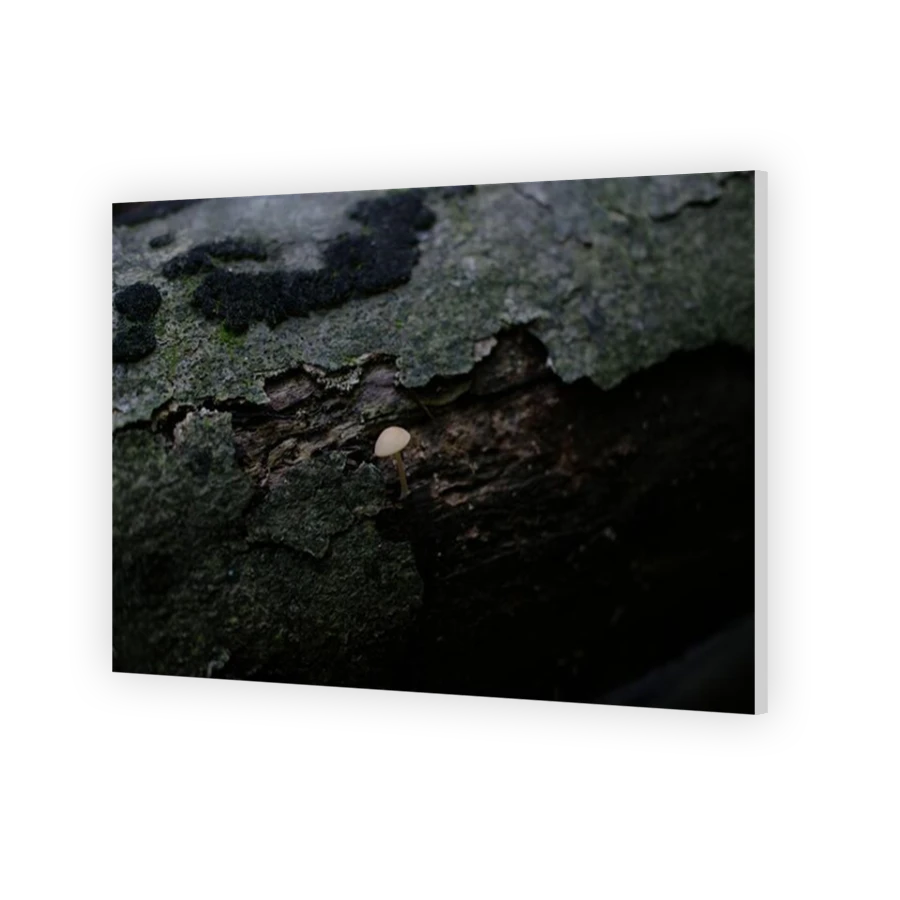 Thumbnail for HD Metal