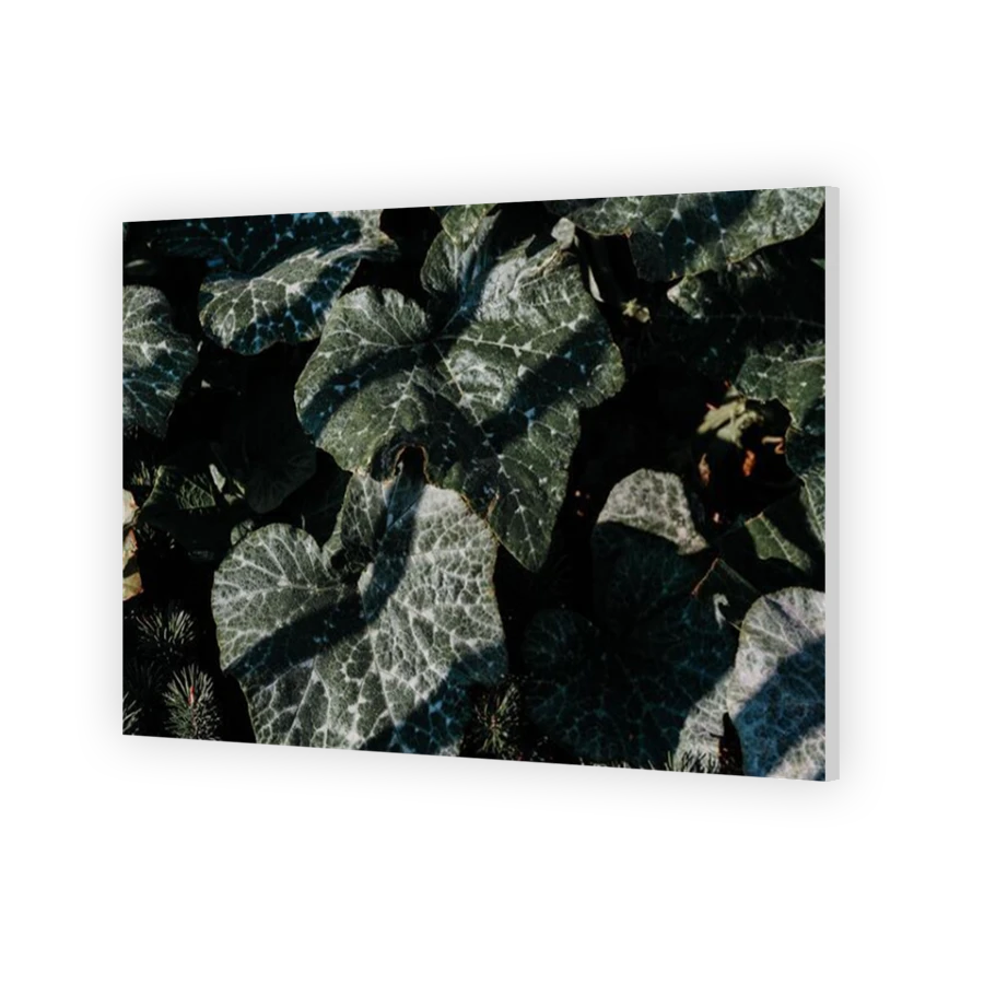 Thumbnail for HD Metal