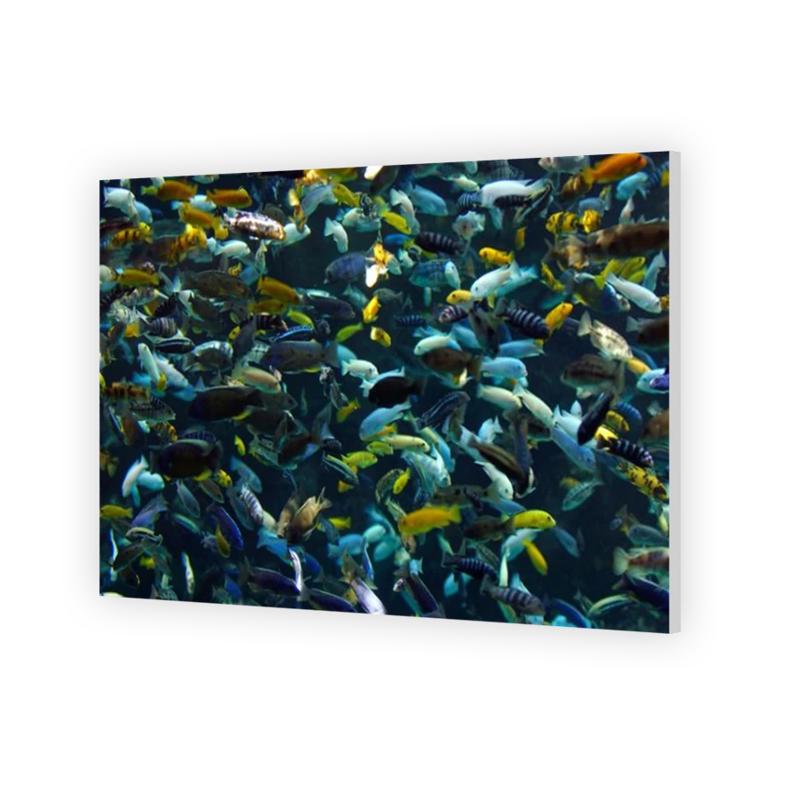 Thumbnail for HD Metal