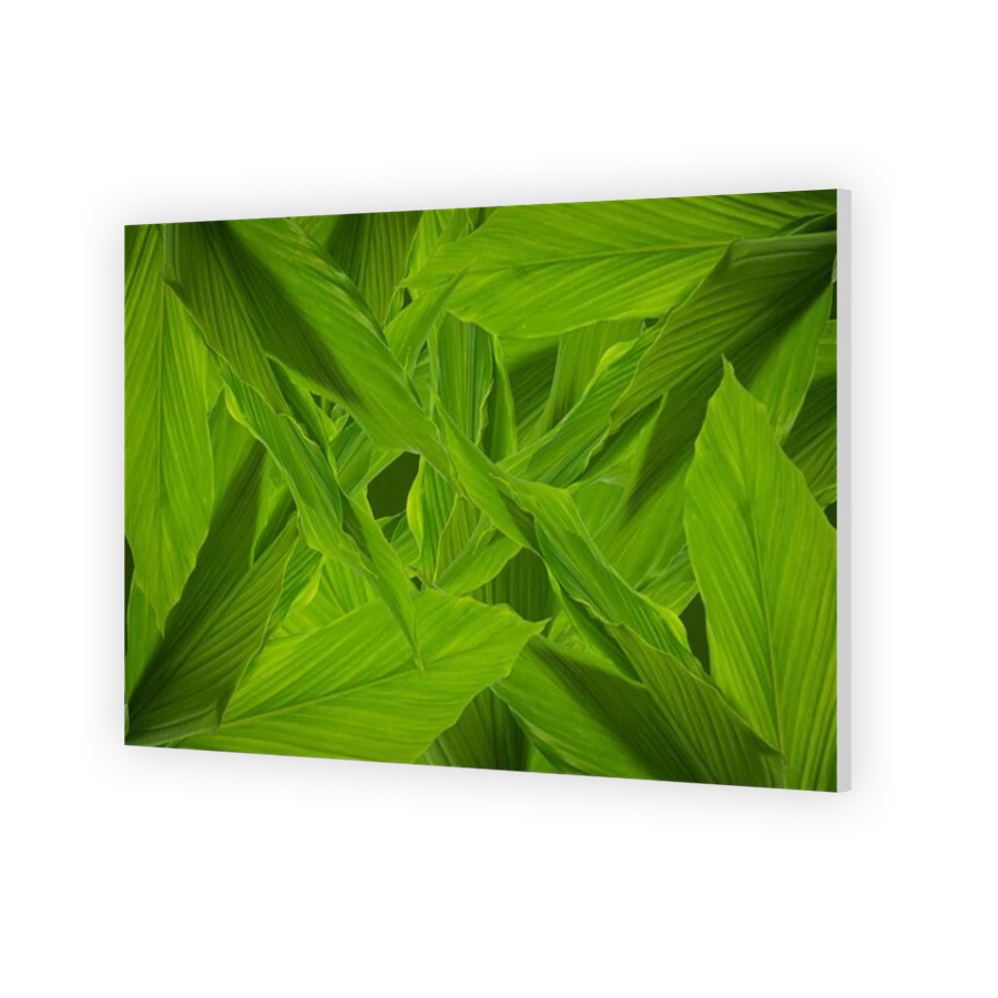 Thumbnail for HD Metal