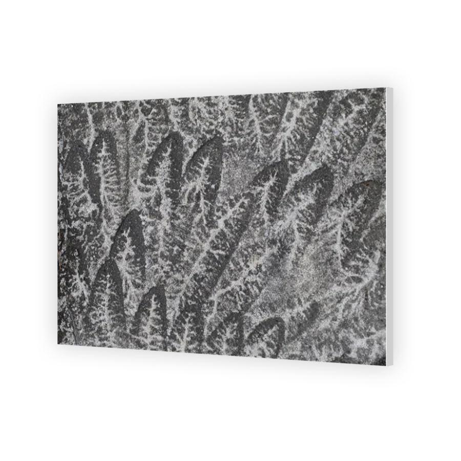 Thumbnail for HD Metal