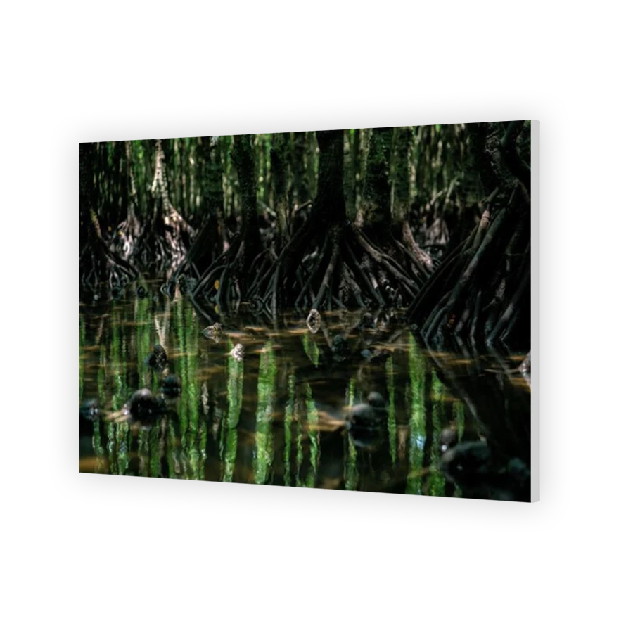 Thumbnail for HD Metal